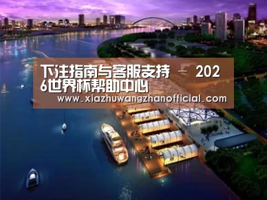 案例展示八