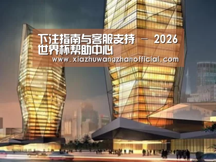案例展示三
