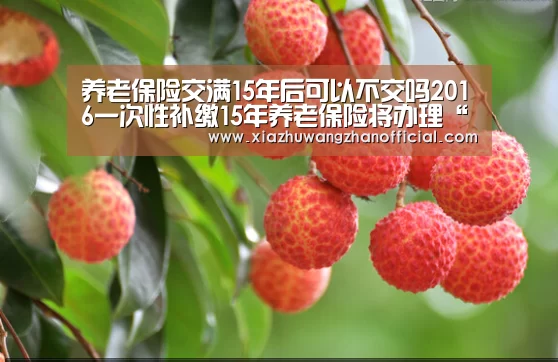 养老保险交满15年后可以不交吗2016一次性补缴15年养老保险将办理“世界杯下注平台”(图4) 世界杯下注平台