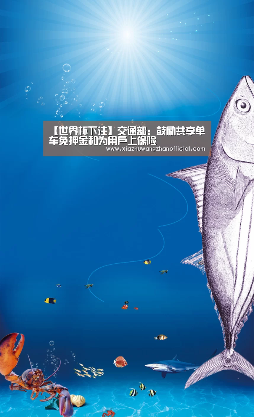【世界杯下注】交通部:鼓励共享单车免押金和为用户上保险(图2) 世界杯下注官网
